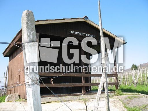 Weil am Rhein Weiler Weinweg 010.jpg